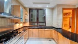 Ardmore Park (D10), Condominium #568363881